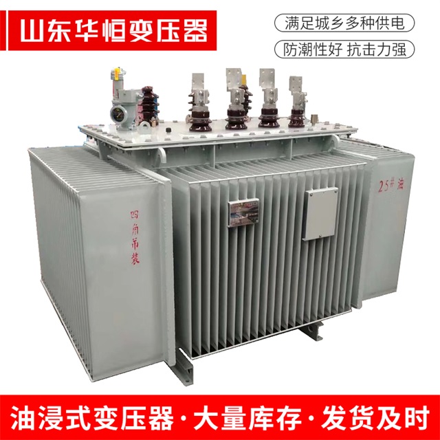 S13-10000/35芦淞芦淞芦淞电力变压器厂家